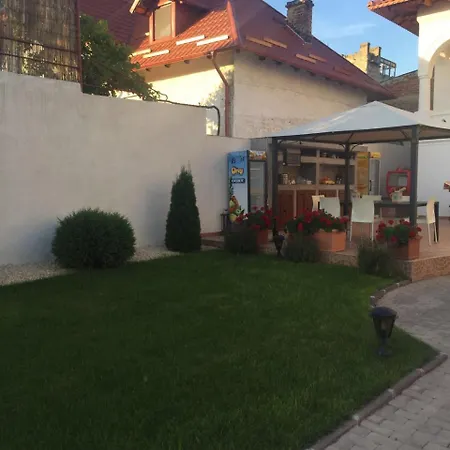 Vila Bistreanu Pensiune *