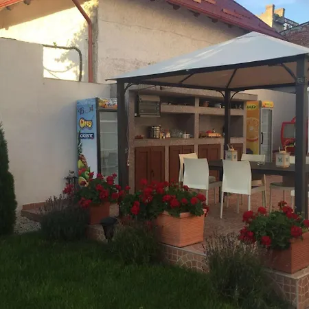 Pensiune Vila Bistreanu