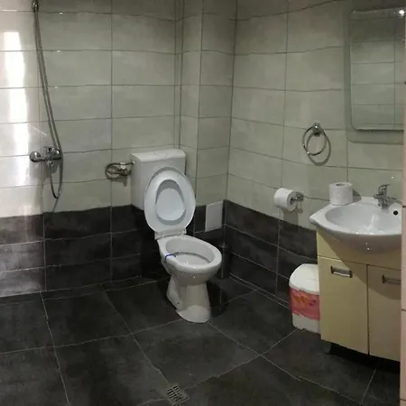 Vila Bistreanu Pensiune *