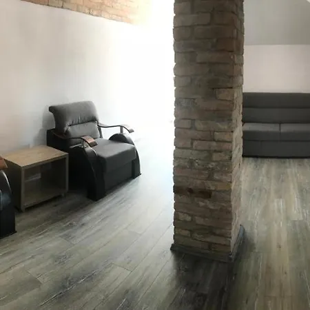 Pensiune Vila Bistreanu