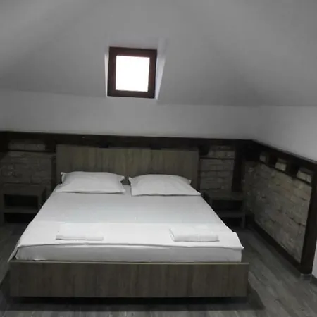 Vila Bistreanu Pensiune