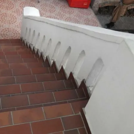 Vila Bistreanu Pensiune